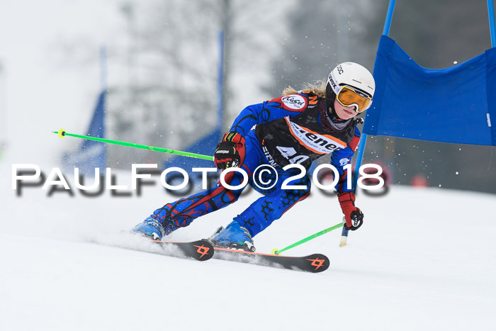 BSV U12 Kids Cross Cup 3 Region 3, 24.02.2018