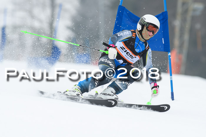 BSV U12 Kids Cross Cup 3 Region 3, 24.02.2018