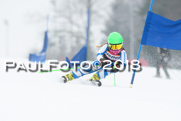 BSV U12 Kids Cross Cup 3 Region 3, 24.02.2018