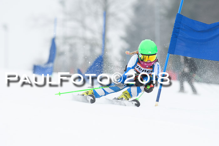 BSV U12 Kids Cross Cup 3 Region 3, 24.02.2018