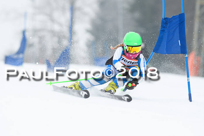 BSV U12 Kids Cross Cup 3 Region 3, 24.02.2018