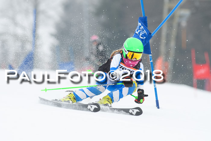 BSV U12 Kids Cross Cup 3 Region 3, 24.02.2018