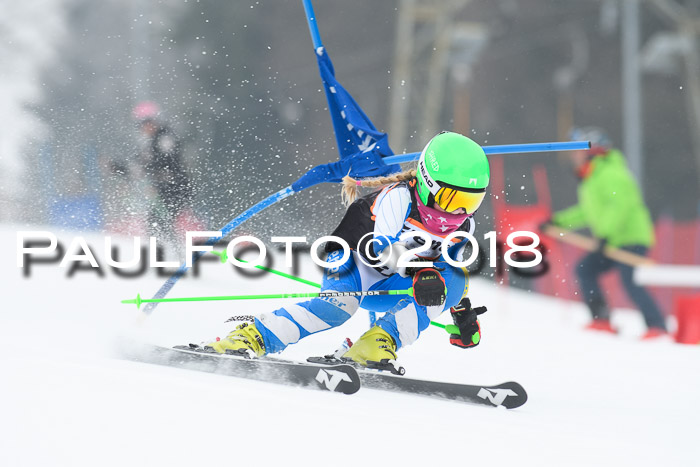 BSV U12 Kids Cross Cup 3 Region 3, 24.02.2018