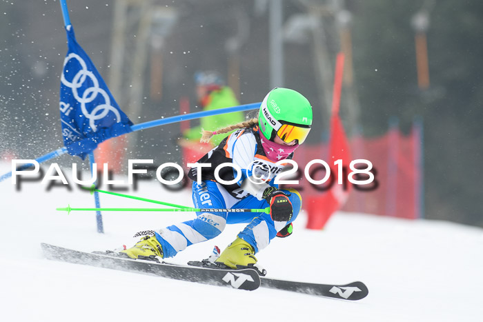 BSV U12 Kids Cross Cup 3 Region 3, 24.02.2018