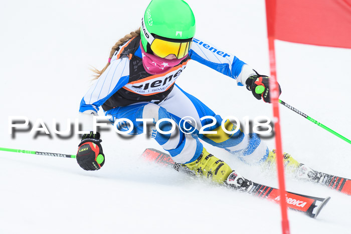 BSV U12 Kids Cross Cup 3 Region 3, 24.02.2018