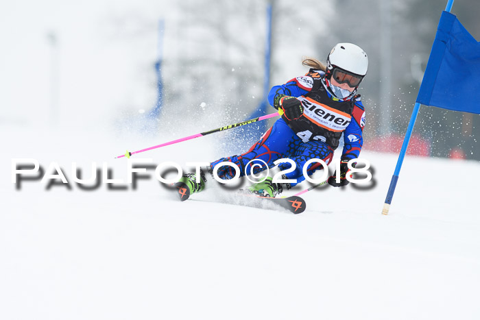 BSV U12 Kids Cross Cup 3 Region 3, 24.02.2018