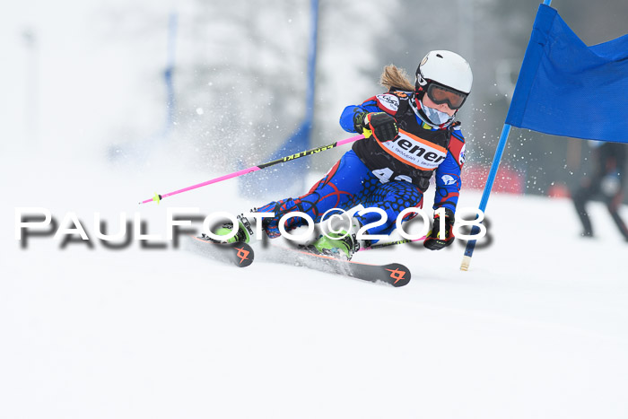 BSV U12 Kids Cross Cup 3 Region 3, 24.02.2018