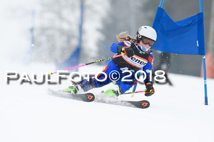 BSV U12 Kids Cross Cup 3 Region 3, 24.02.2018