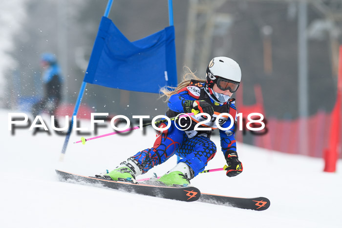 BSV U12 Kids Cross Cup 3 Region 3, 24.02.2018