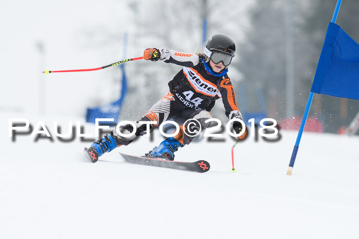 BSV U12 Kids Cross Cup 3 Region 3, 24.02.2018