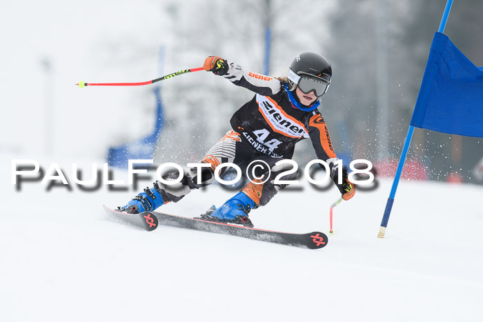 BSV U12 Kids Cross Cup 3 Region 3, 24.02.2018