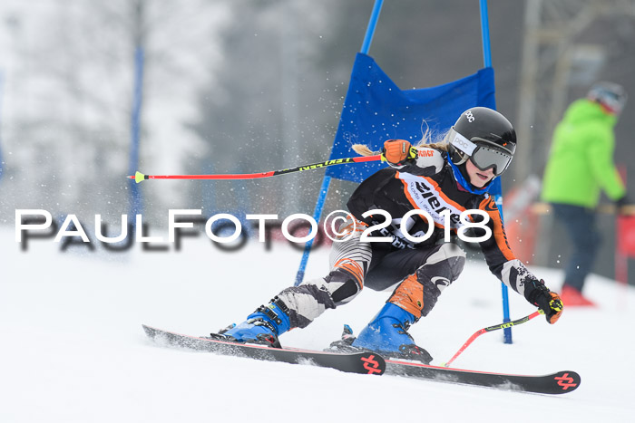 BSV U12 Kids Cross Cup 3 Region 3, 24.02.2018