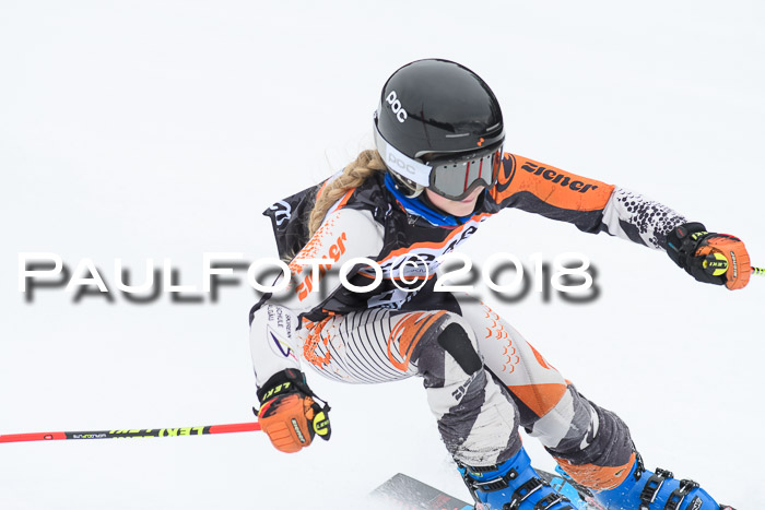 BSV U12 Kids Cross Cup 3 Region 3, 24.02.2018