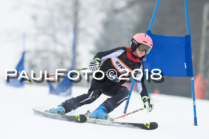 BSV U12 Kids Cross Cup 3 Region 3, 24.02.2018