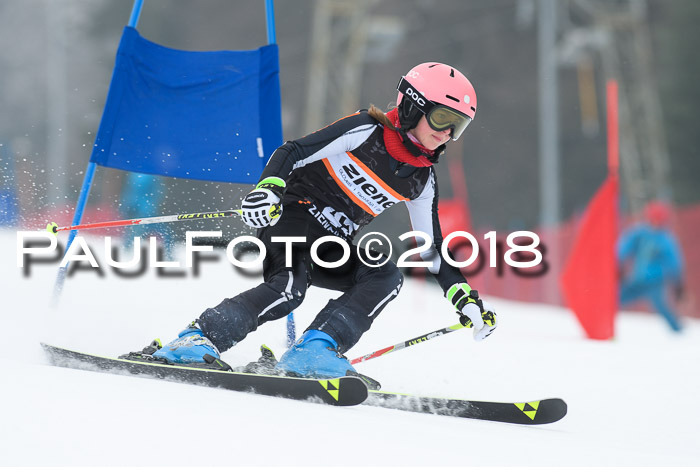 BSV U12 Kids Cross Cup 3 Region 3, 24.02.2018