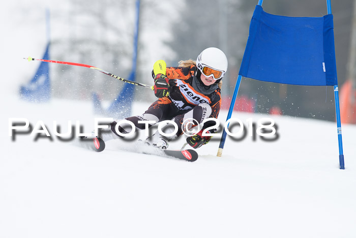 BSV U12 Kids Cross Cup 3 Region 3, 24.02.2018