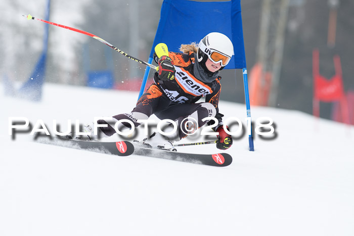 BSV U12 Kids Cross Cup 3 Region 3, 24.02.2018