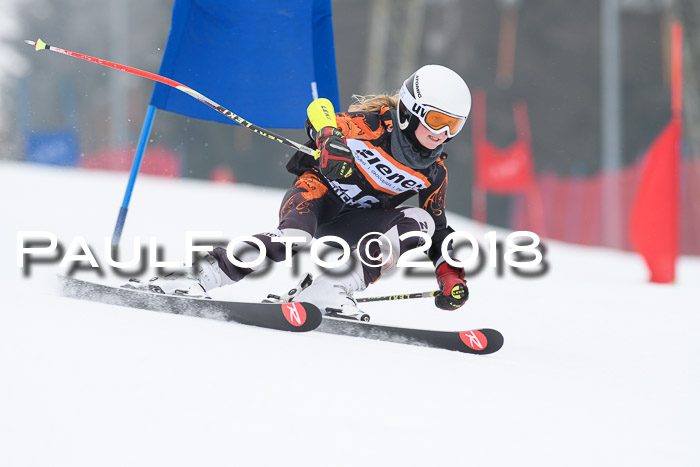 BSV U12 Kids Cross Cup 3 Region 3, 24.02.2018