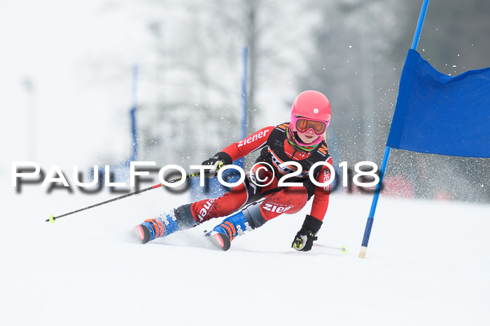 BSV U12 Kids Cross Cup 3 Region 3, 24.02.2018