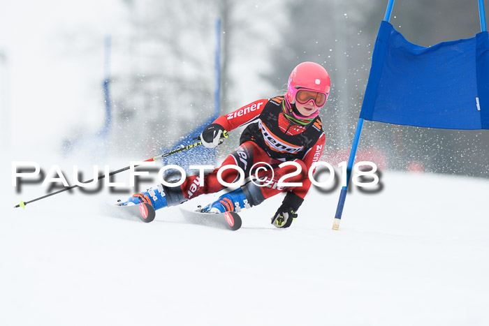 BSV U12 Kids Cross Cup 3 Region 3, 24.02.2018