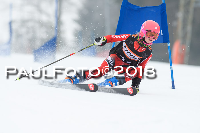 BSV U12 Kids Cross Cup 3 Region 3, 24.02.2018