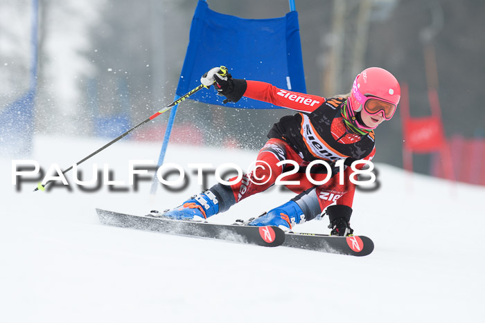 BSV U12 Kids Cross Cup 3 Region 3, 24.02.2018