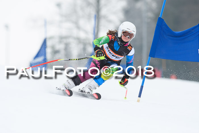 BSV U12 Kids Cross Cup 3 Region 3, 24.02.2018
