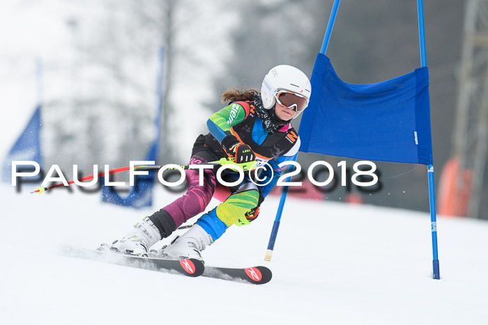 BSV U12 Kids Cross Cup 3 Region 3, 24.02.2018