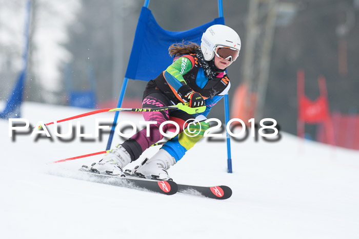 BSV U12 Kids Cross Cup 3 Region 3, 24.02.2018