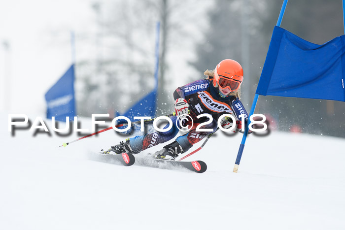 BSV U12 Kids Cross Cup 3 Region 3, 24.02.2018
