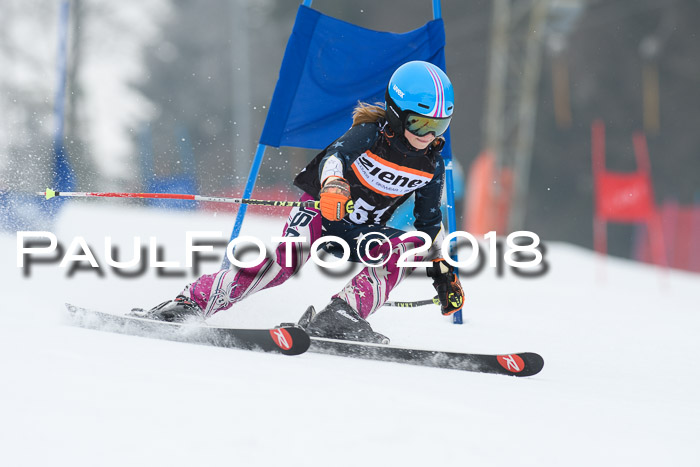 BSV U12 Kids Cross Cup 3 Region 3, 24.02.2018