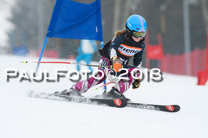 BSV U12 Kids Cross Cup 3 Region 3, 24.02.2018