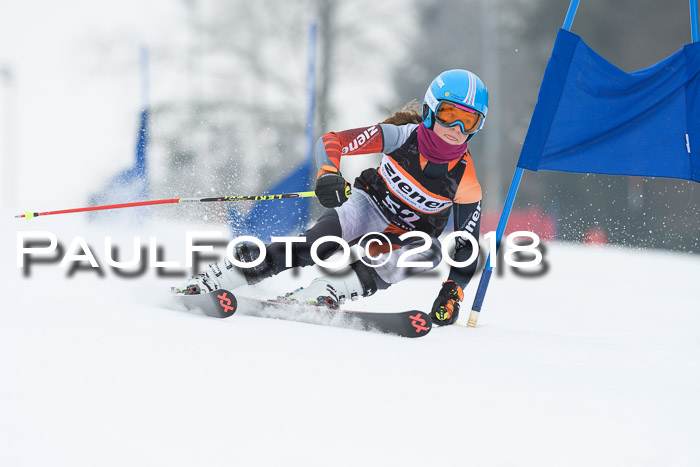 BSV U12 Kids Cross Cup 3 Region 3, 24.02.2018
