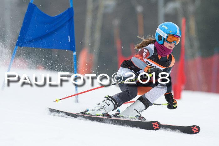 BSV U12 Kids Cross Cup 3 Region 3, 24.02.2018