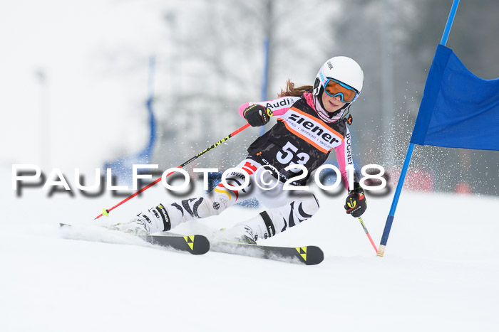 BSV U12 Kids Cross Cup 3 Region 3, 24.02.2018