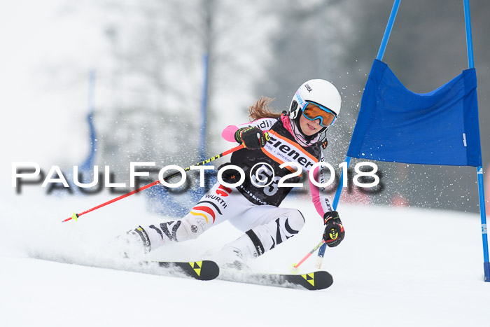 BSV U12 Kids Cross Cup 3 Region 3, 24.02.2018