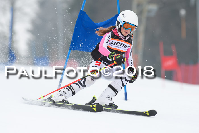 BSV U12 Kids Cross Cup 3 Region 3, 24.02.2018