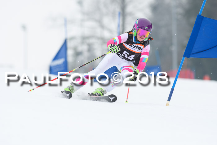 BSV U12 Kids Cross Cup 3 Region 3, 24.02.2018