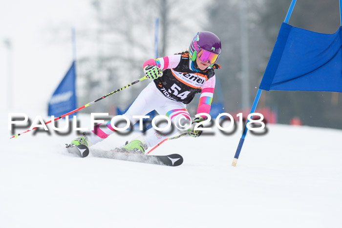 BSV U12 Kids Cross Cup 3 Region 3, 24.02.2018