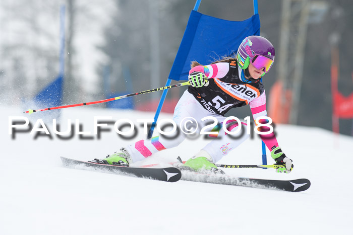 BSV U12 Kids Cross Cup 3 Region 3, 24.02.2018