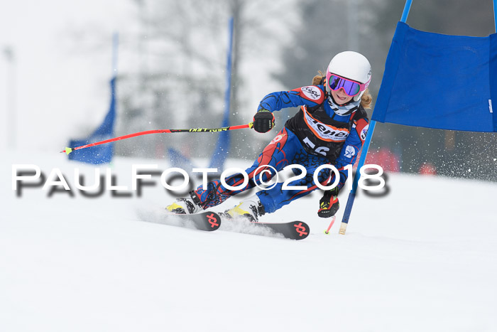 BSV U12 Kids Cross Cup 3 Region 3, 24.02.2018