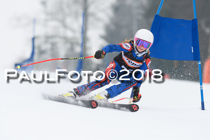 BSV U12 Kids Cross Cup 3 Region 3, 24.02.2018
