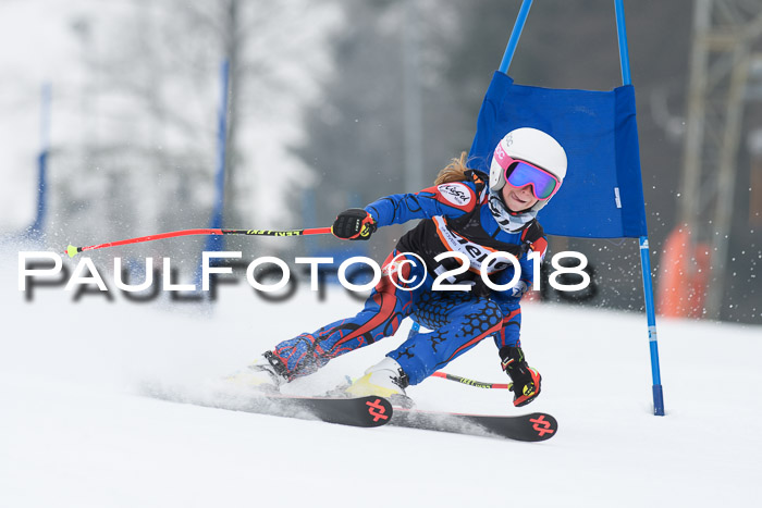 BSV U12 Kids Cross Cup 3 Region 3, 24.02.2018