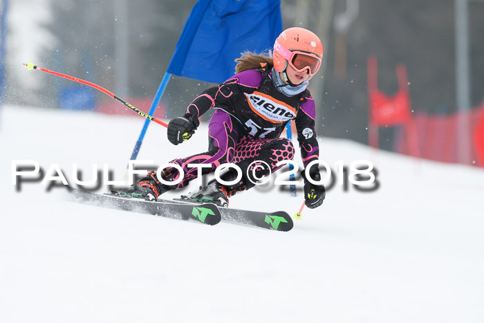 BSV U12 Kids Cross Cup 3 Region 3, 24.02.2018