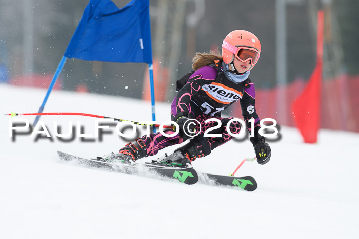 BSV U12 Kids Cross Cup 3 Region 3, 24.02.2018