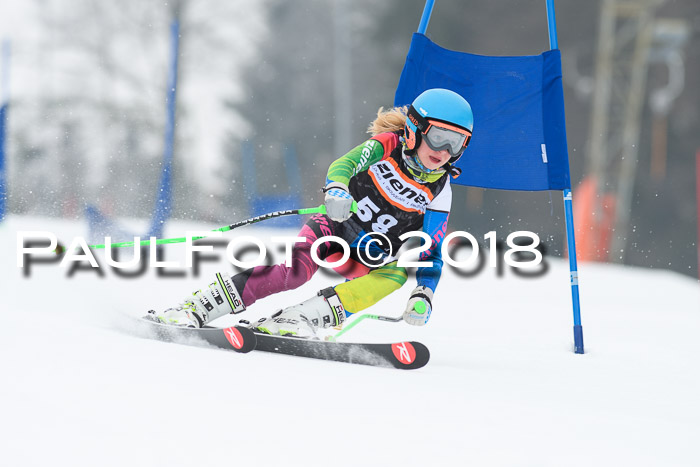 BSV U12 Kids Cross Cup 3 Region 3, 24.02.2018