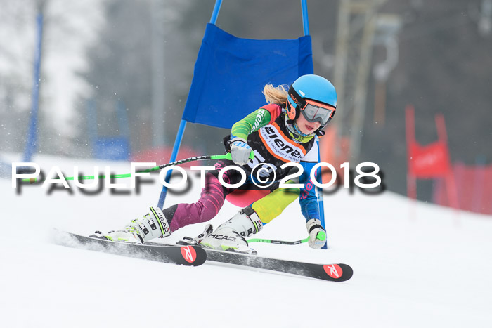 BSV U12 Kids Cross Cup 3 Region 3, 24.02.2018