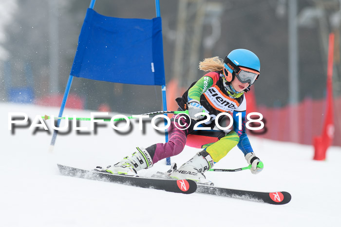 BSV U12 Kids Cross Cup 3 Region 3, 24.02.2018