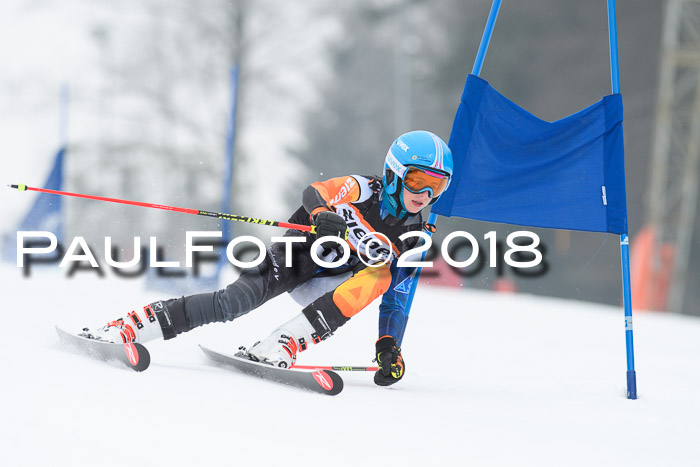 BSV U12 Kids Cross Cup 3 Region 3, 24.02.2018
