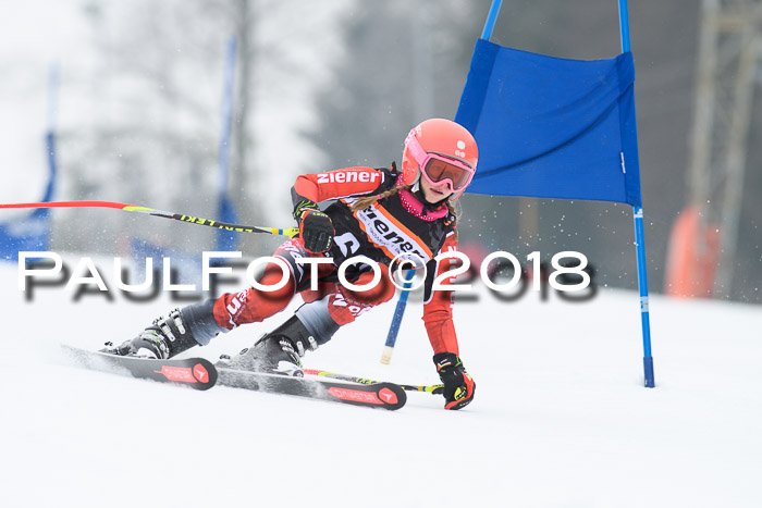 BSV U12 Kids Cross Cup 3 Region 3, 24.02.2018